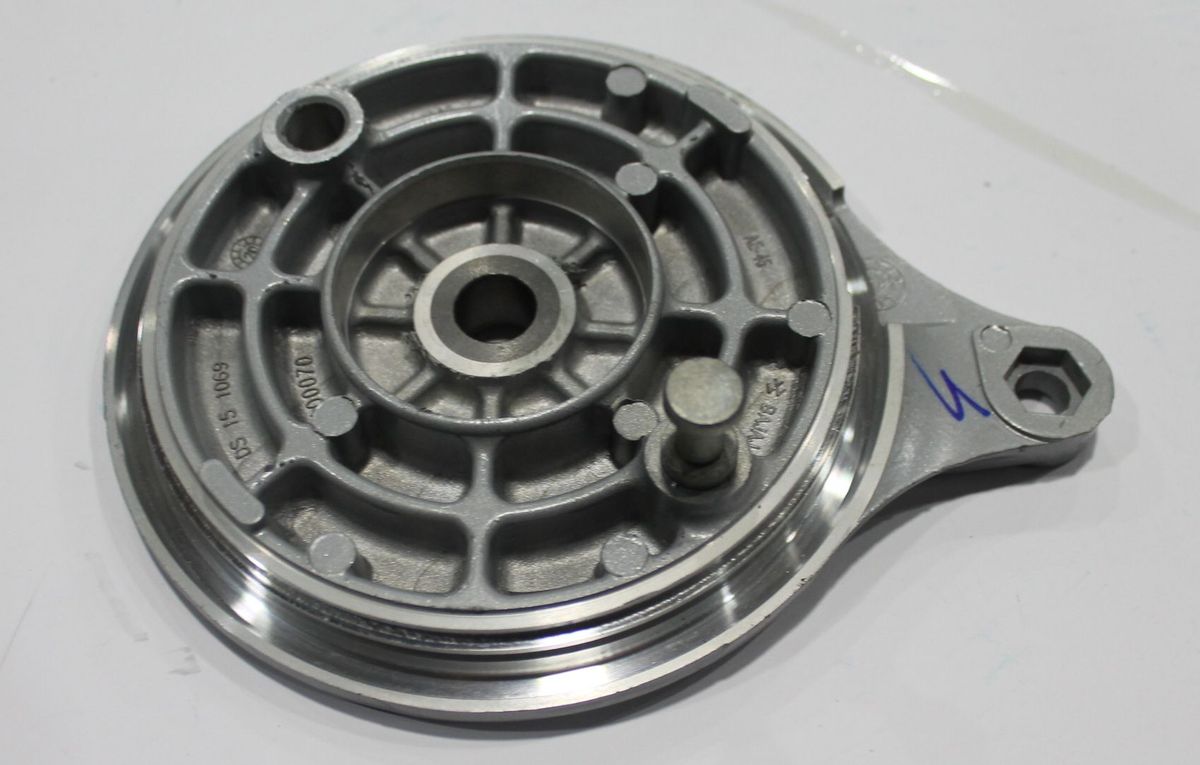 Крышка заднего колеса DS151069 BAJAJ