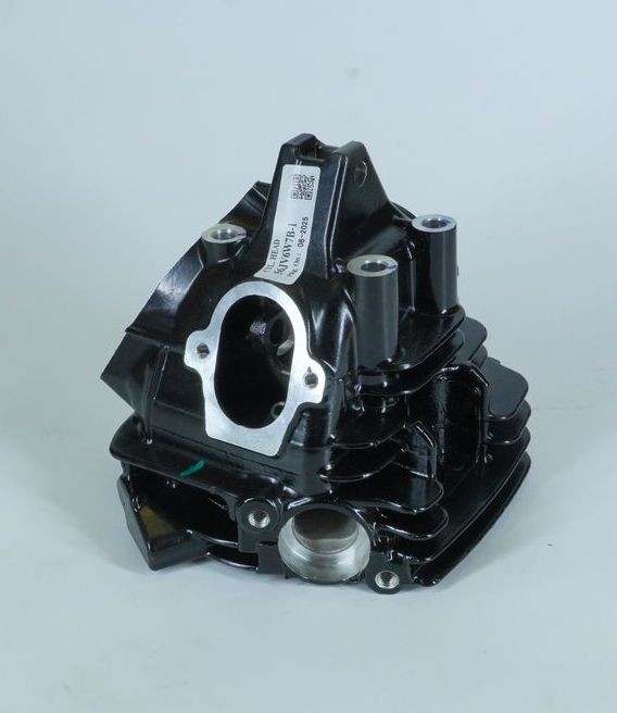 Головка блока цилиндра BLACK (JV511023) BM125X 56JV6W7B BAJAJ
